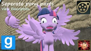 Pony Parts