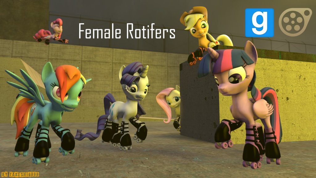 Female Rotifers
