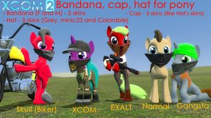 Bandana, Cap, Hat for pony
