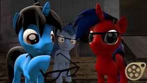 Pony glasses/sunglasses for stallions