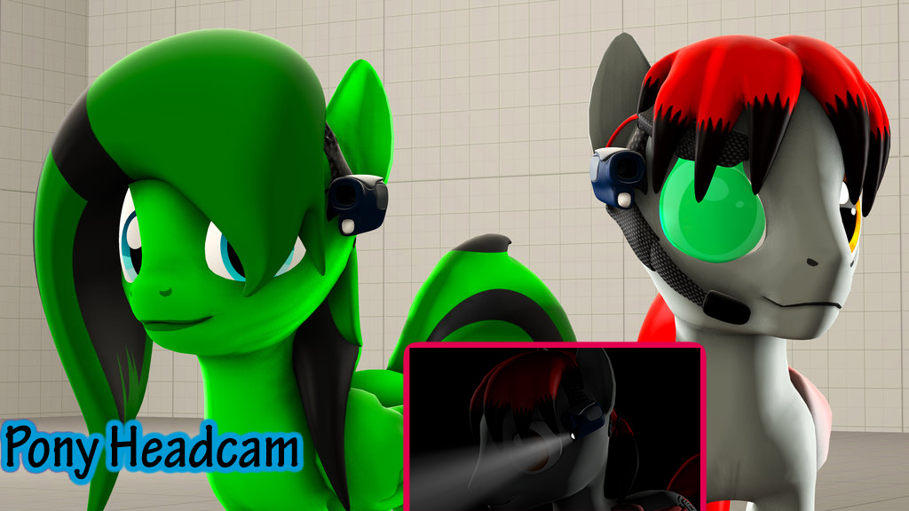 Pony Head-cam