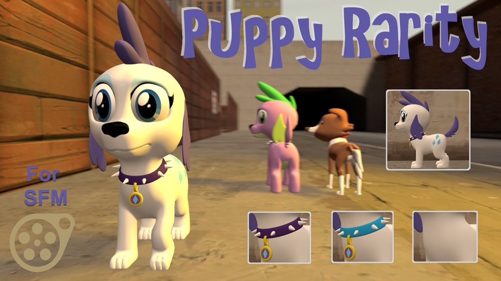 Puppy Rarity
