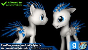 Feather mane and tail models