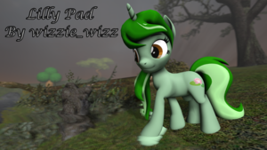 Lilly Pad